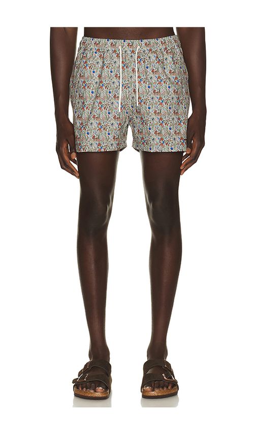 Edmmond Studios Wildlife Swim Shorts in Brown. XL/1X. Also in