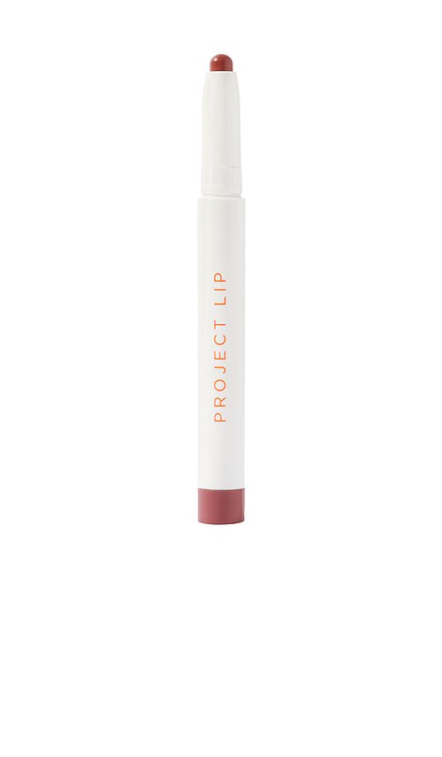 PROJECT LIP Lip Plump and Fill Up Liner in Wild. a