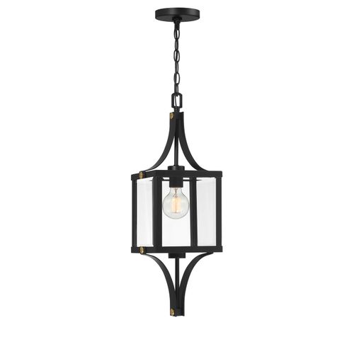 Raeburn 1-Light Outdoor Hanging Lantern in Matte Black and Weathered Brushed Bra