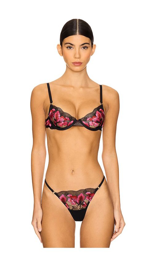 BLUEBELLA Vivienne Bra in Black,Pink. -  36B also in 32C, 32D, 34B, 34C, 34D