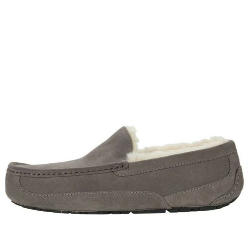 Ascot Slipper 'Grey'