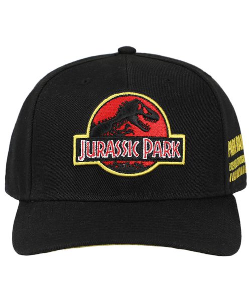 Men's Embroidered Snap Back Black Dad Hat for Men - Black