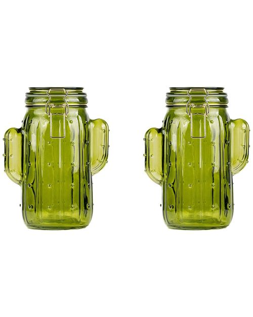 Set Of 2 Saguaro Large Hermetic Jars