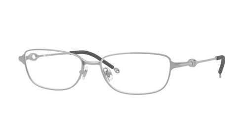 Diesel DL5002 1007 Men's Eyeglasses Silver  56 - Blue Light Block Available