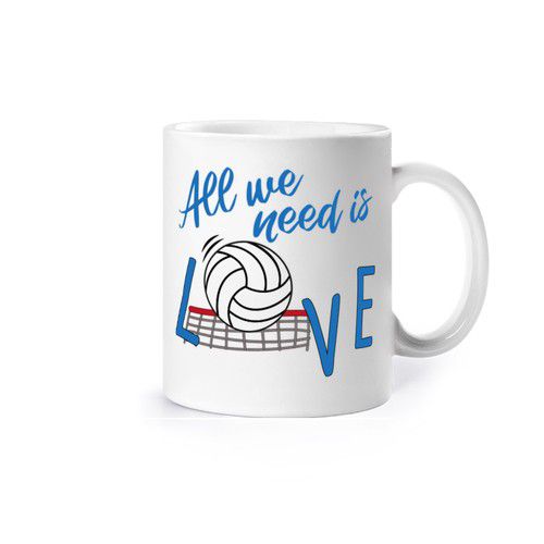 ALL WE NEED IS VOLEY