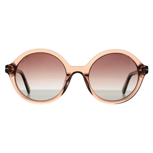 Polar Sunglasses Gold 122 COL.408 Transparent Nude Brown Brown Polarized