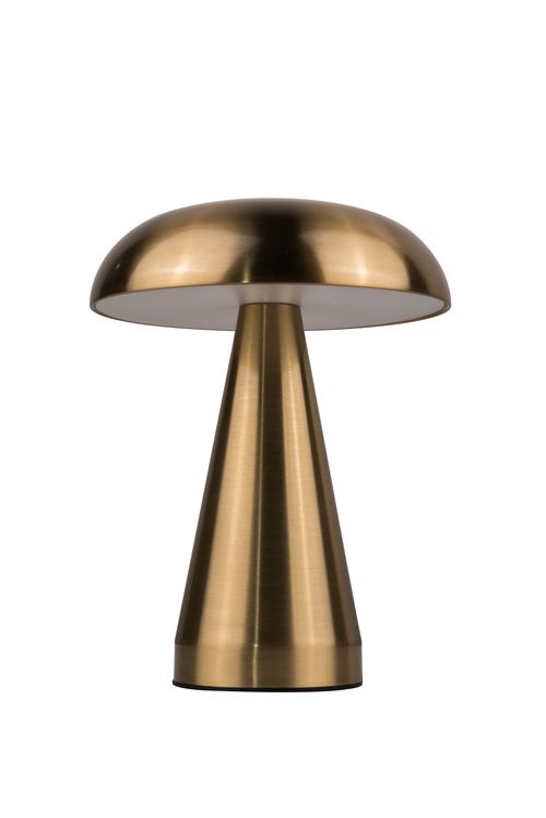 Brass LED Rechargeable Lamp from the Marta Collection