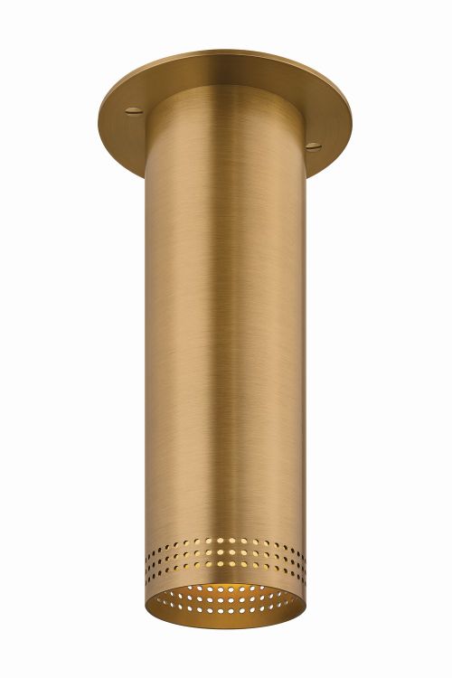 Patina Brass Flush Mount from the Berg Collection