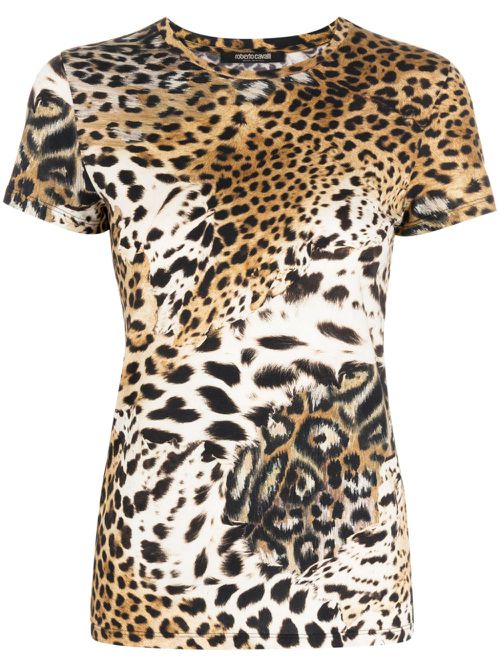 Tiger-print short-sleeve T-shirt - Multicolour