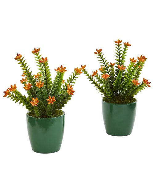 Set of 2 Sedum Succulent Artificial Plants in Green Planter
