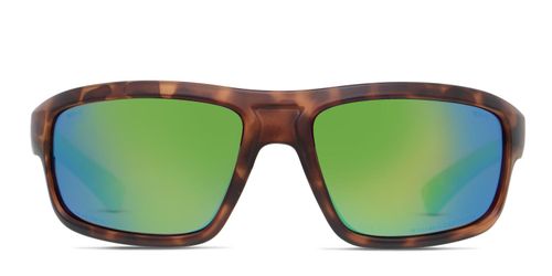 Contend Tortoise/Green