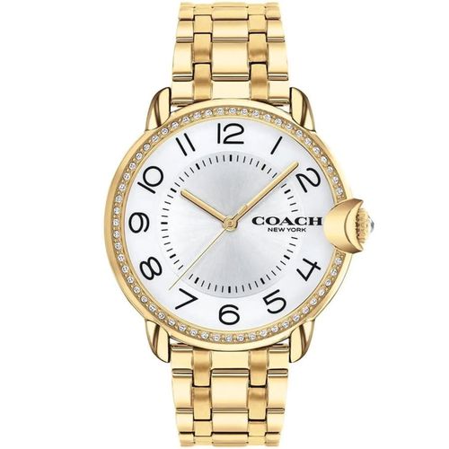 Arden Gold Tone Quartz Ladies Watch 14503810