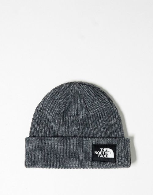 Salty lined beanie in gray