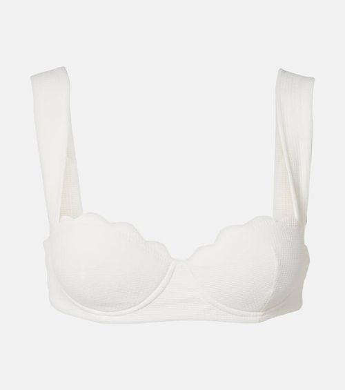 North scalloped bikini top