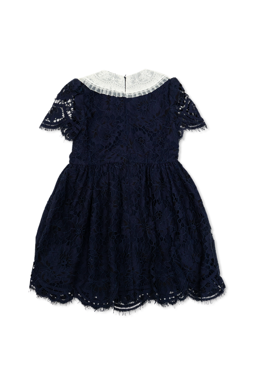 Lace Dress, Unisex, Navy Blue