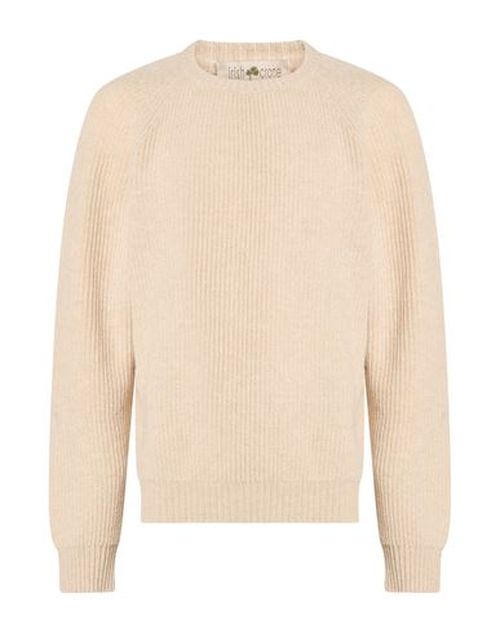Man Sweater Beige Size L Virgin Wool