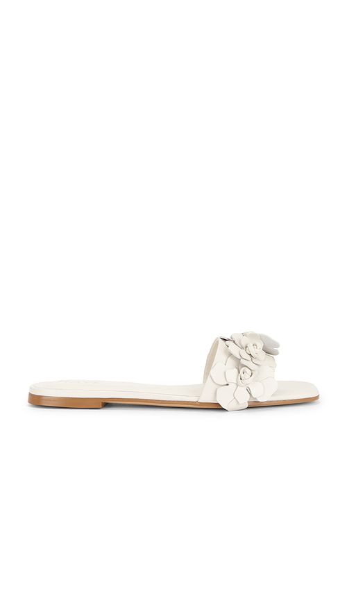 RAYE Iris Flat in Ivory. 6. Also .5, 6.5, 7, 7.5, 8, 8.5, 9, 9