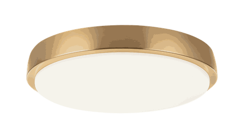 Aged Gold Brass LED Flush Mount from the Zane Collection