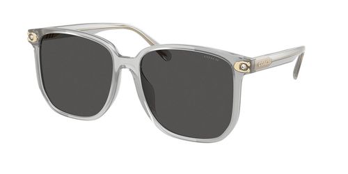 Coach HC8413BD CW419 Asian Fit 561487 Women’s Sunglasses Grey Size 58