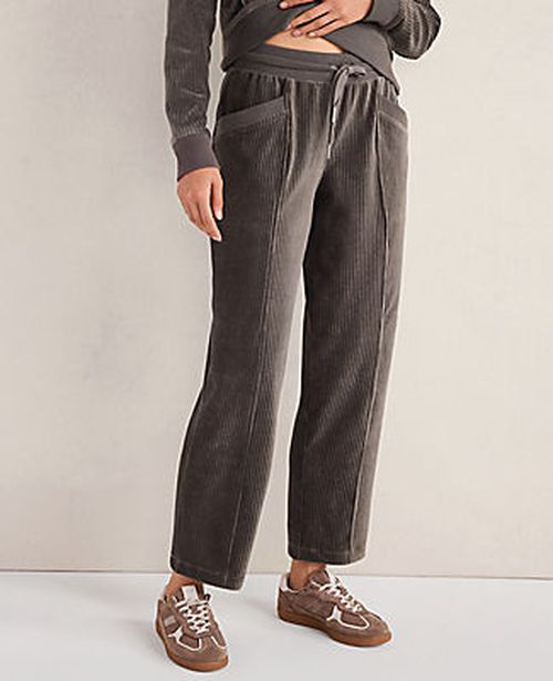 Ann Taylor Haven Well Within Corded Velour Pants