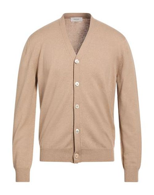 Man Cardigan Sand Size M Cotton, Cashmere