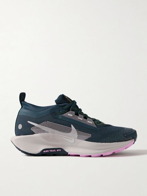 Pegasus Trail 5 Embroidered Rubber-trimmed Gore-tex Sneakers - Blue