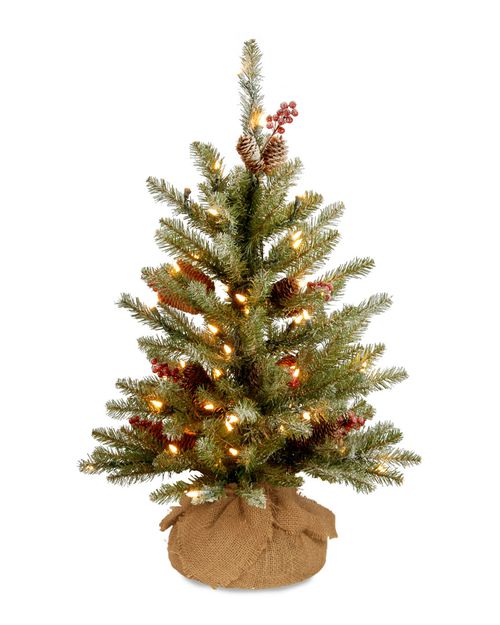 National Tree Company 2ft Dunhill Fir Small Tree with LED Lights