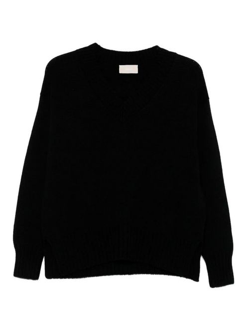 Long Sleeve V-Neck Sweater