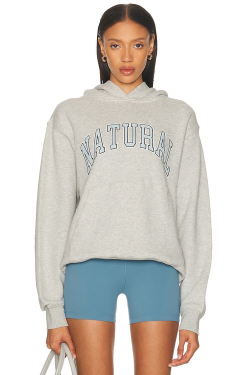 Museum of Peace and Quiet Natural Hoodie in Ash - Grey.  XS also in L, M, S, XL/1X