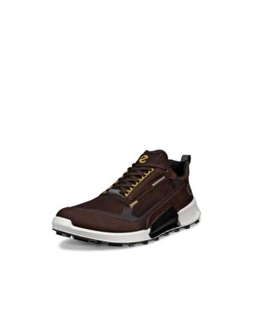 ECCO Men's Biom 2.1 Low Gore-tex Waterproof Cross Trainer