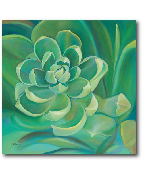 Green Succulent