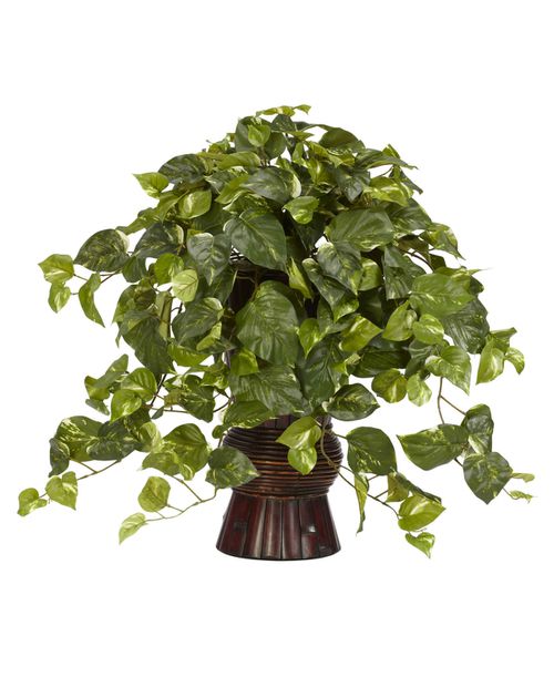 Pothos w/ Bamboo Vase Silk Plant - Green