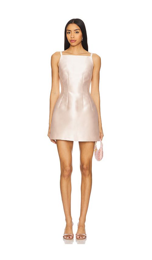 Courtney Zheng Blanche Dupion Mini Dress in Blush. - S also in