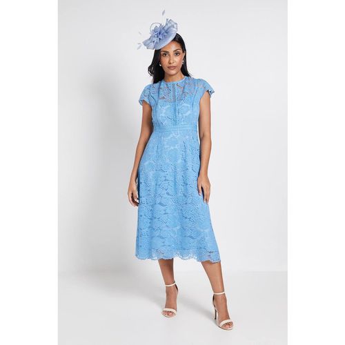 Wallis Petite Lace Fit And Flare Midi Dress In Cornflower Blue