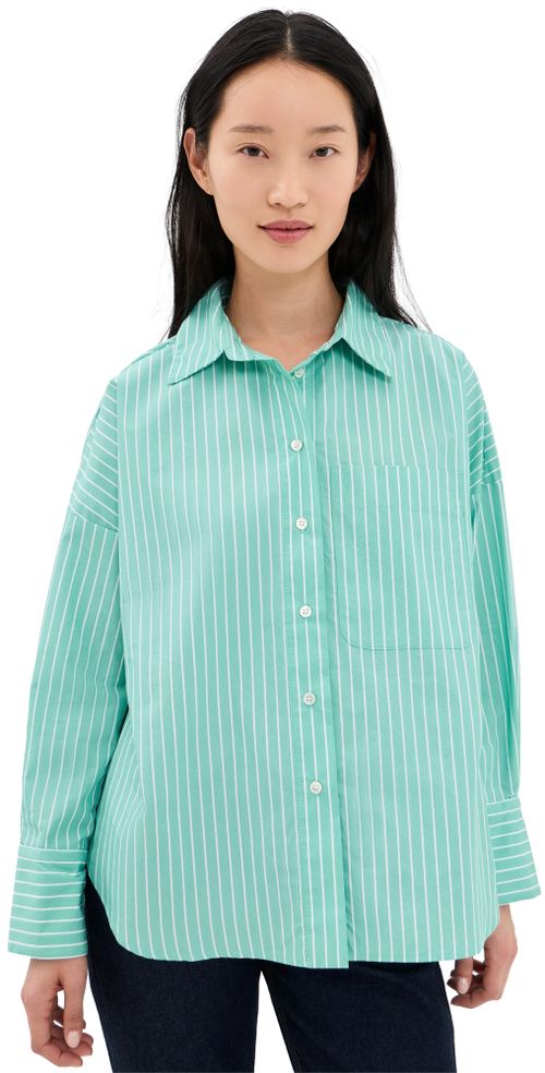Brady Button Down Shirt Turquoise Stripe