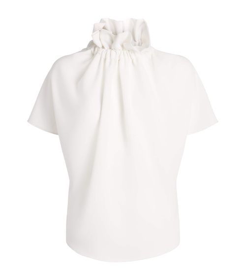 Ruff Blouse
