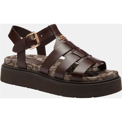 Coach Womens Lucy Lug Sole Sandal In Signature Jacquard - Dark Brown
