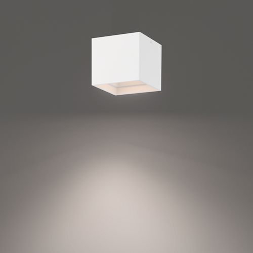 White LED Outdoor Flush Mount from the Downtown Collection