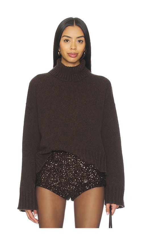 Aniye By Chris Turtleneck Sweater in Brown. - S also in