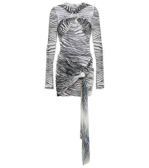 Fran zebra-print tulle minidress