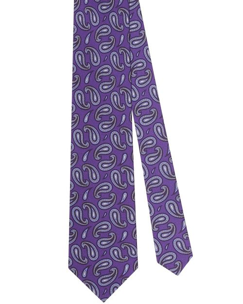 Silk Paisley Printed Silk Best Of Class Necktie
