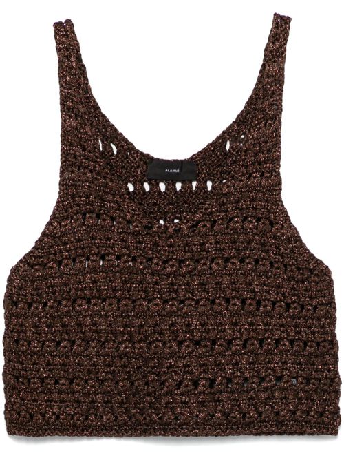 Ray Of Light top - Brown