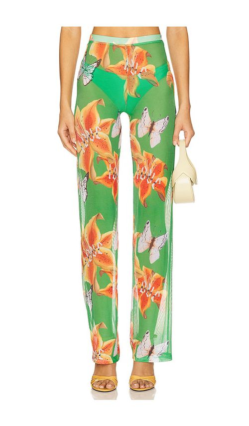 Juliet Johnstone Mesh Pant in Green.  XL/1X. Also in M