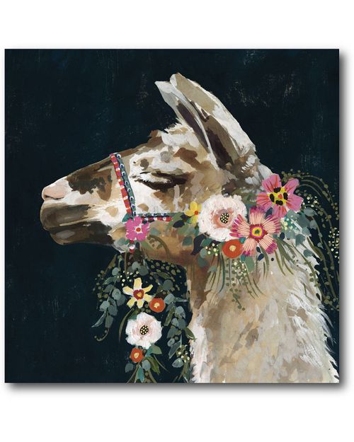 Lovely Llama II
