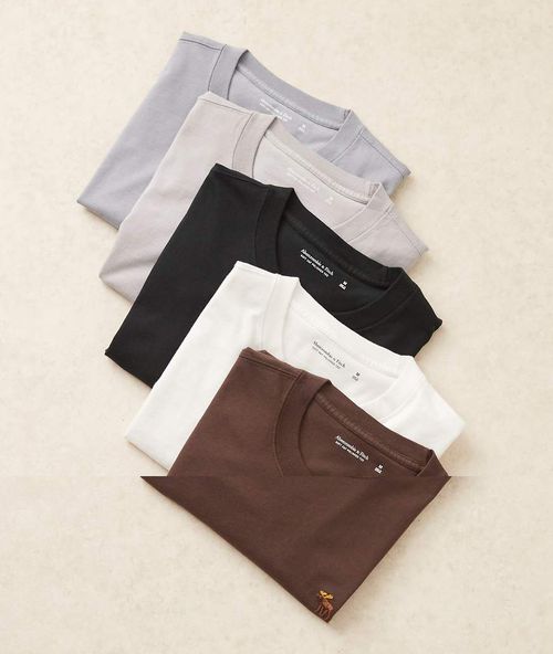 Abercrombie & Fitch essential 5 pack t-shirt in white multi