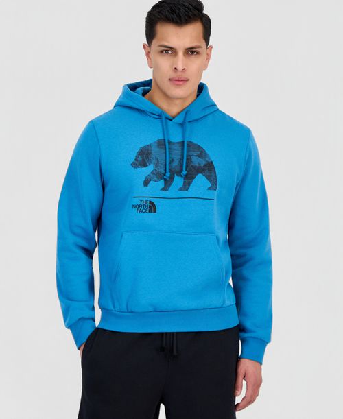 Men's Evolution Mountain Bear Hoodie - Digital Steel