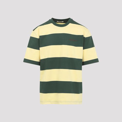 Striped T-shirt
