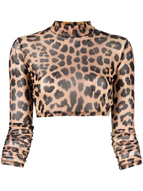 Leopard-print cropped top - Brown