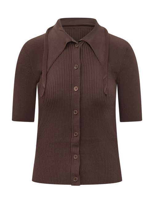 Brown Solid Shirt Collar Polo