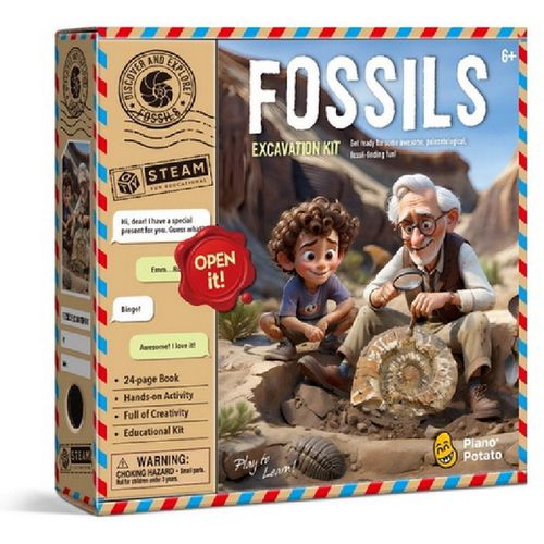 Fossils Excavation Kit
